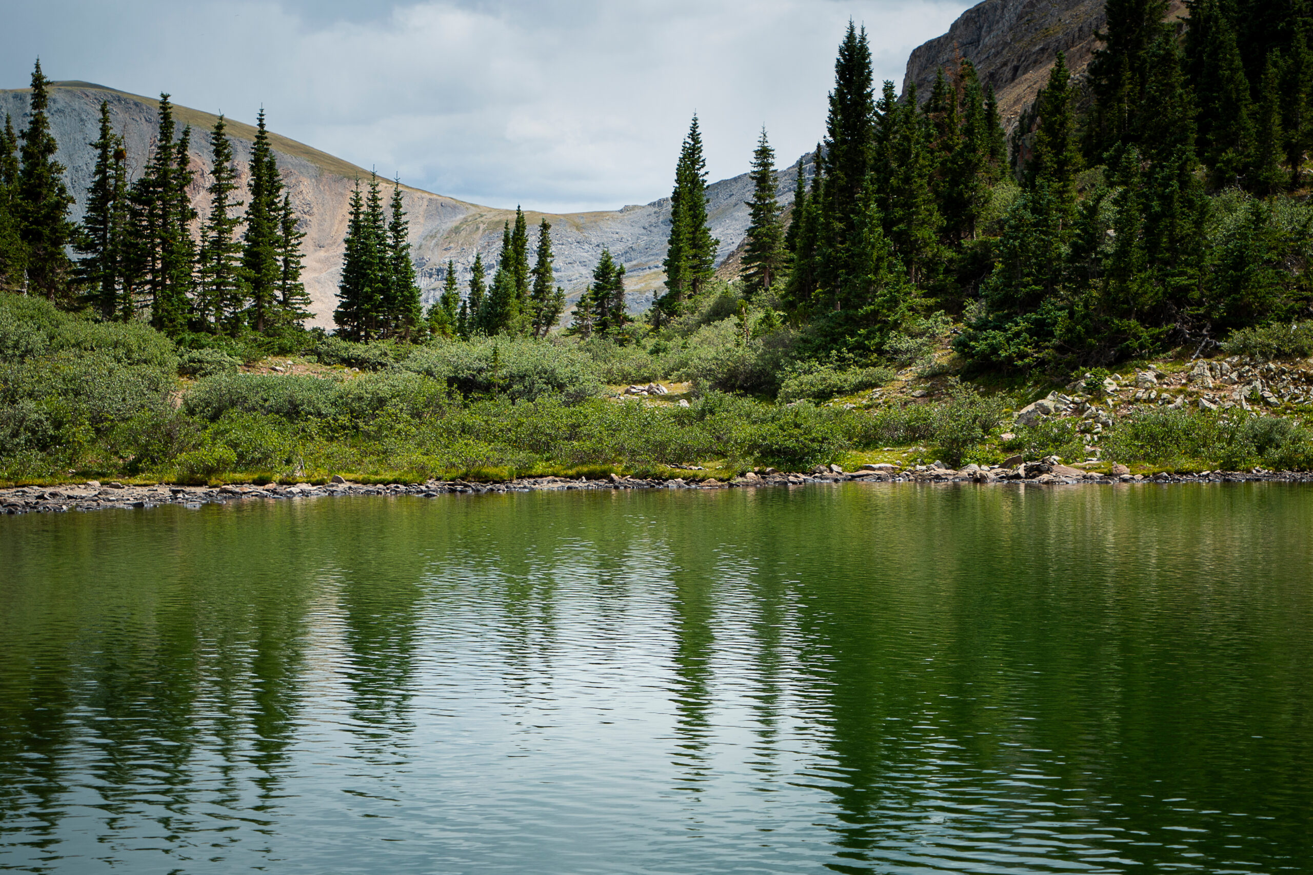 Colorado Elopement location: Buena Vista