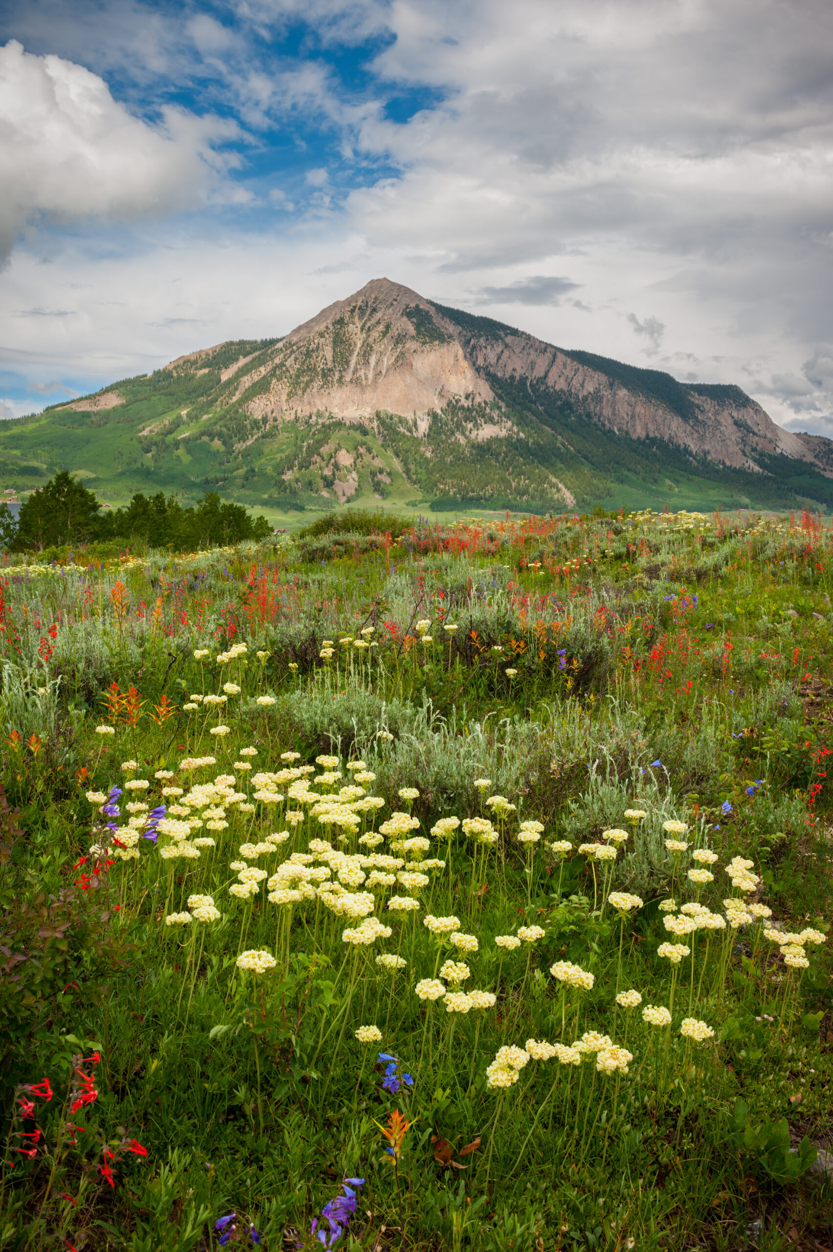 Colorado Elopement location: Crested Butte